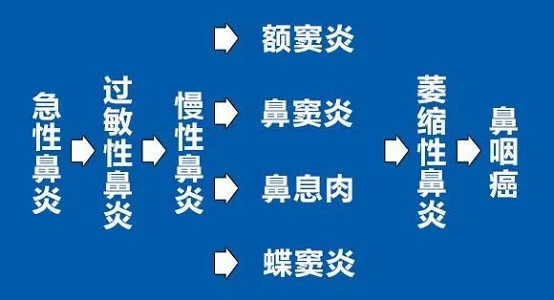 鼻炎發展過程